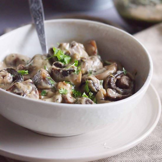 Mushrooms with creamy cheese sauce