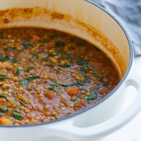 Everyday Vegan Lentil Soup