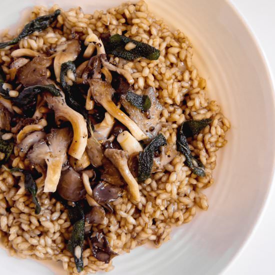 Mushroom Risotto