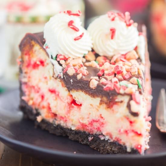 Peppermint Bark Cheesecake