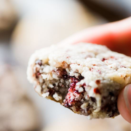 Cranberry Coconut Macaroons
