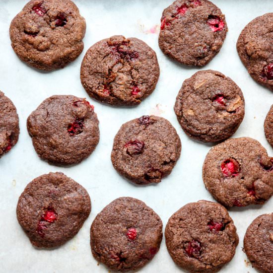 Double Chocolate Cranberry Cookies