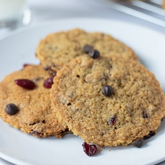 Chocolate Chip Cranberry Cookies