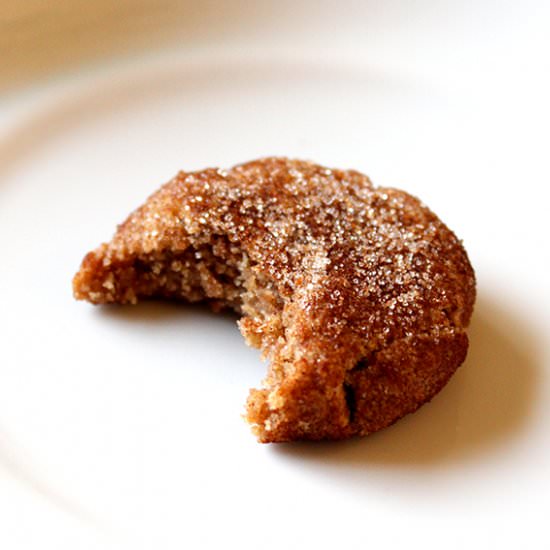 Zero Carb Snickerdoodles