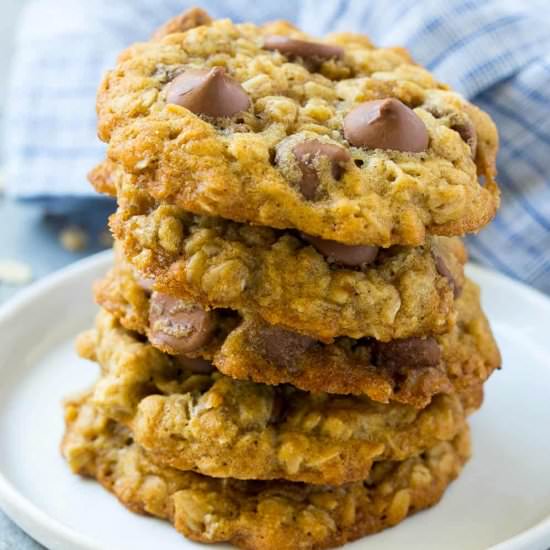 High Protein Chocolate Oat Cookies