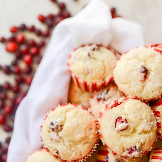 Cranberry Muffins