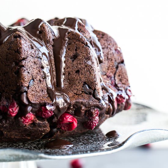 Dark Chocolate Cranberry Bundt Cake