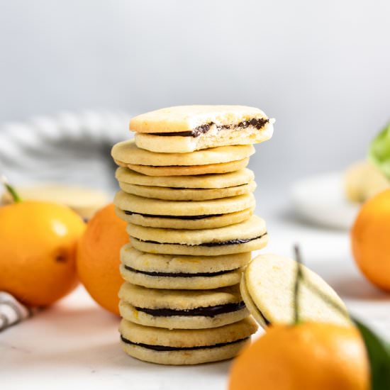 Orange Chocolate Sandwich Cookies