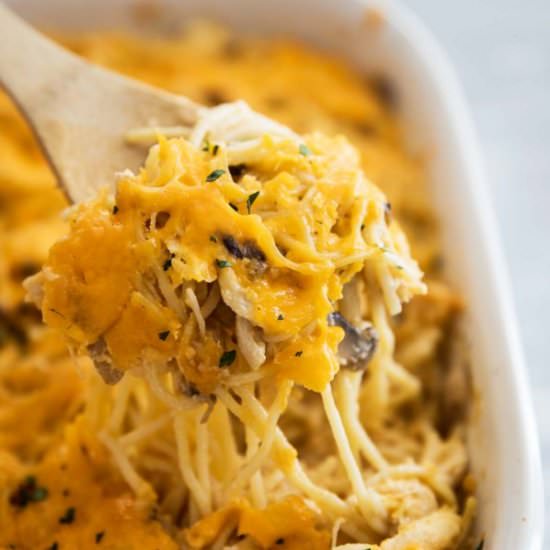 Cheesy Chicken Tetrazinni