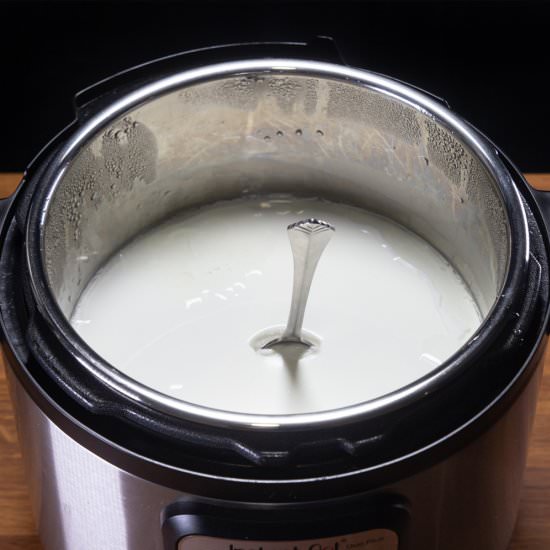 Instant Pot Cold Start Yogurt