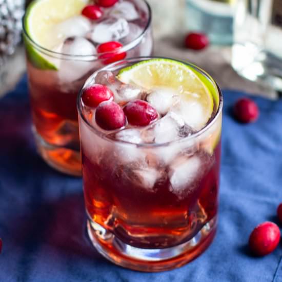 Cranberry Gin and Tonic