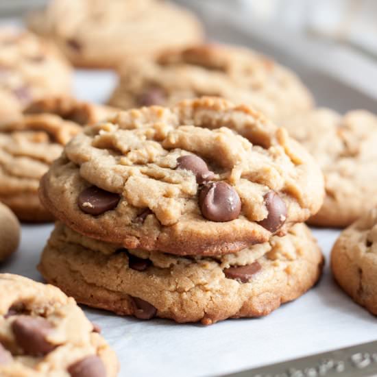 Peanut Butter Chocolate Chip Cookie
