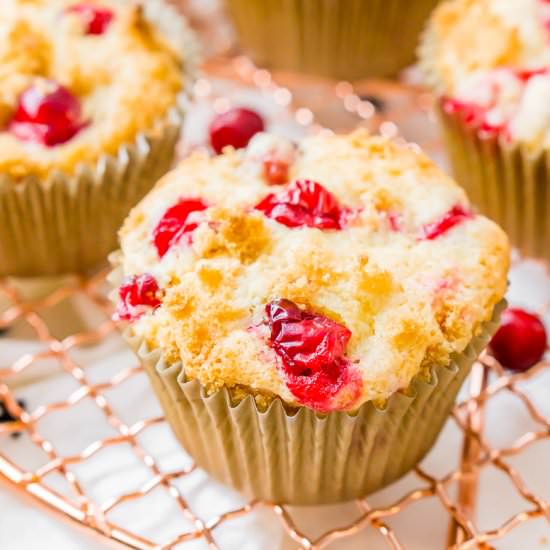 Cranberry Orange Muffins