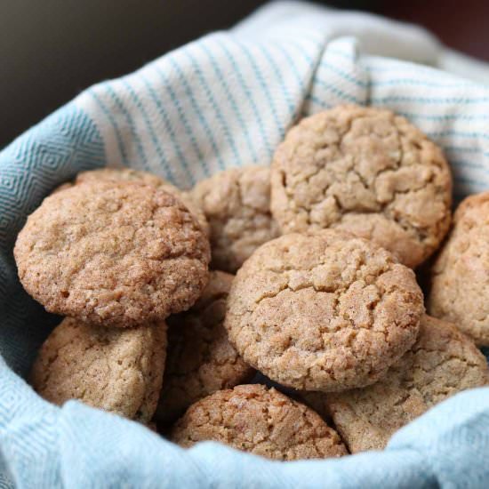Cinnamon Oodles-Oat Snickerdoodles