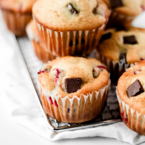 Cranberry Chocolate Chunk Muffins