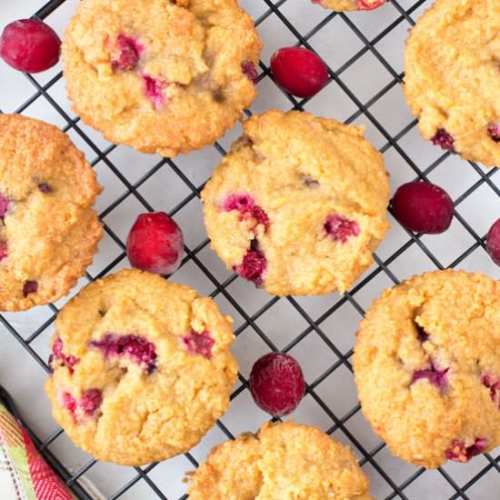 Healthy Cranberry Orange Muffins