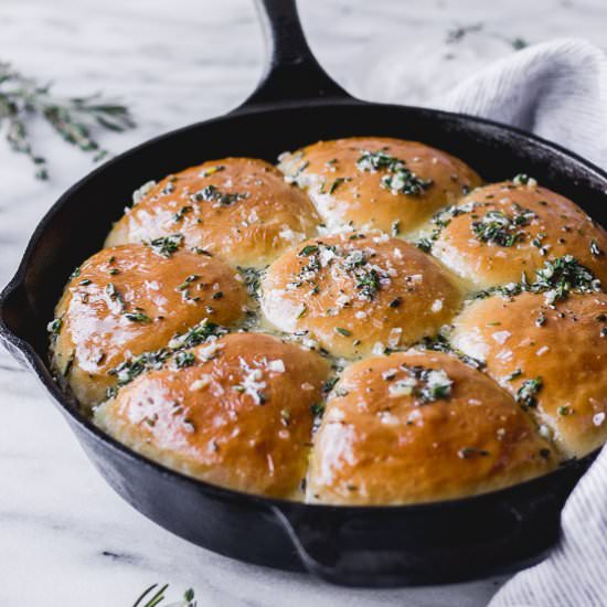 Garlic Herb Dinner Rolls