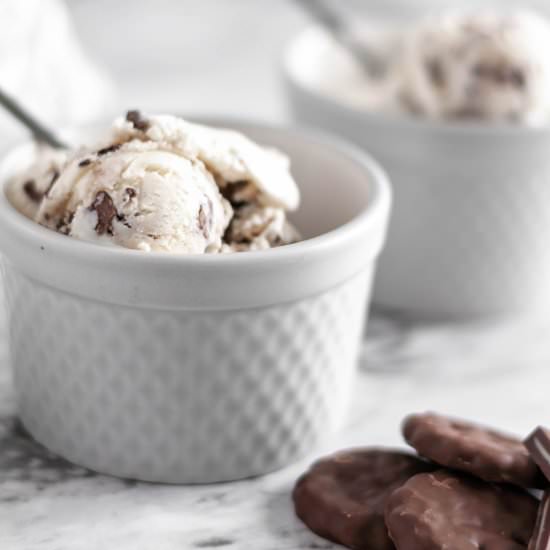 Triple Mint Ice Cream