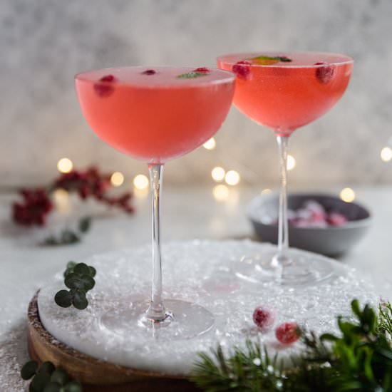 cranberry gin shaker