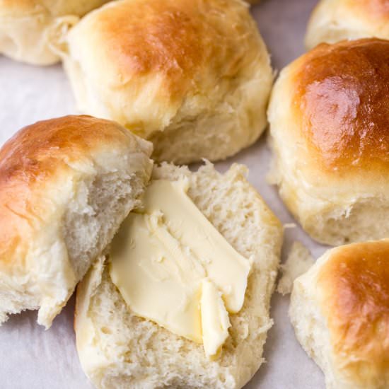 Easy Dinner Rolls