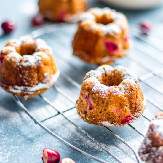Sugar Free Cranberry Pumpkin Cakes