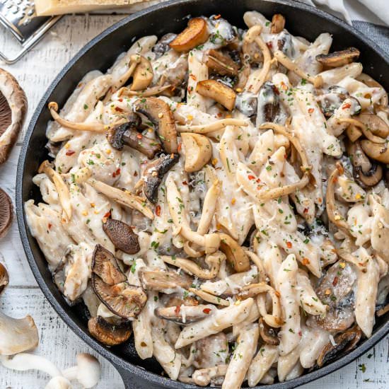 Creamy Wild Mushroom Pasta