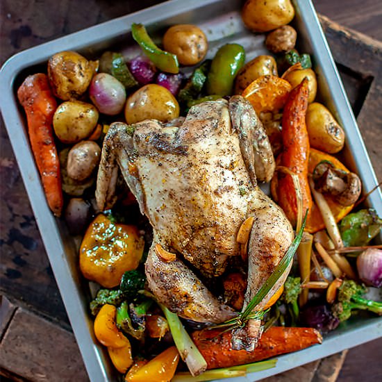 Orange and Herb Roasted Chicken