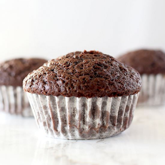 Moist Chocolate Muffins