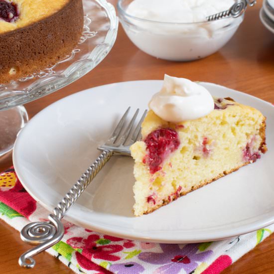 Raspberry-Ricotta Cake
