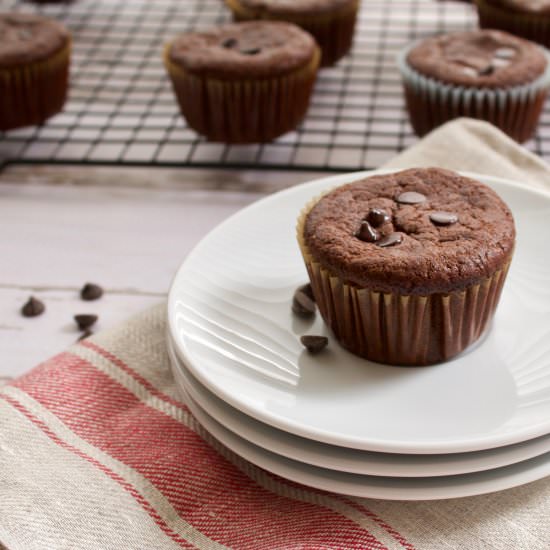 Keto Double Chocolate Muffins