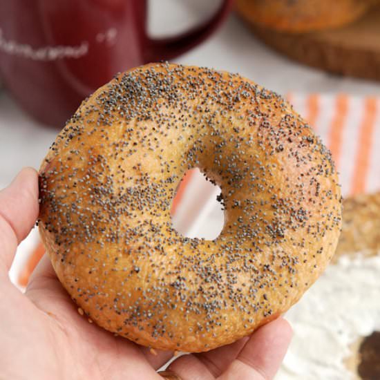 New York Style Bagels