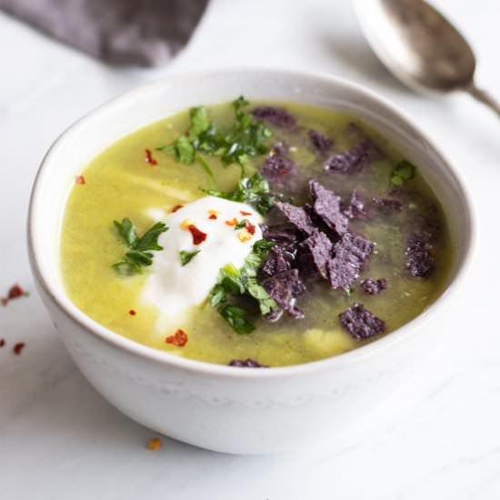 Low FODMAP Chicken Enchilada Soup