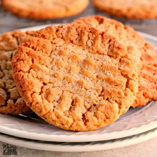 Peanut Butter Cookies {Gluten-Free}