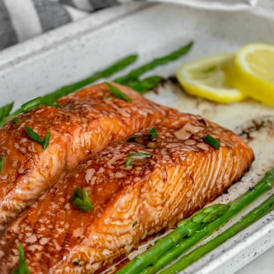 Soy Sauce Marinated Salmon