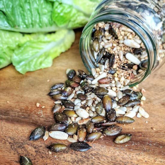 Roasted Seed Mix