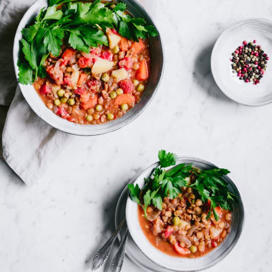 Vegan Potato Lentil Stew
