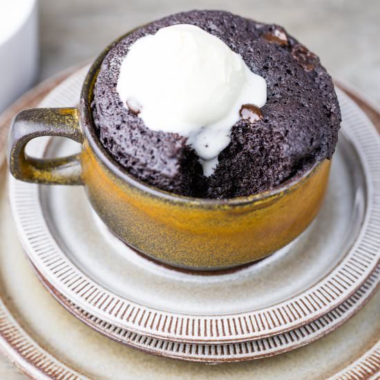 Chocolate Keto Mug Cake