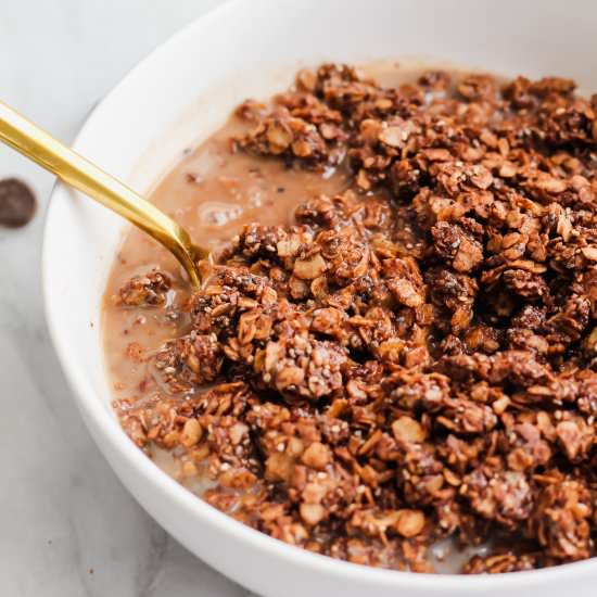 Chocolate Coffee Granola