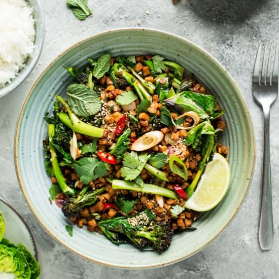 Vegan larb