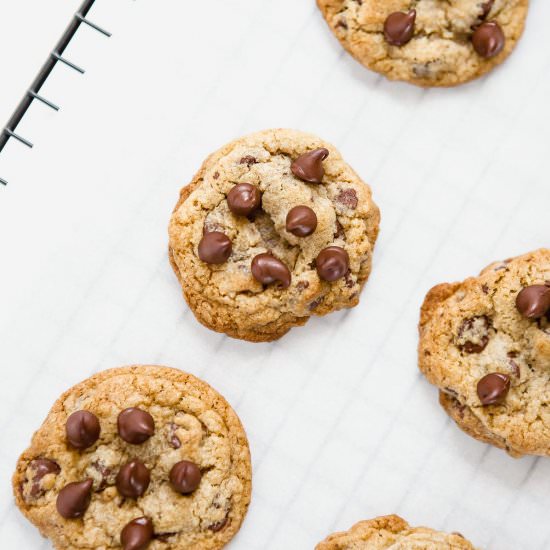 Chewy Chocolate Chip Cookies
