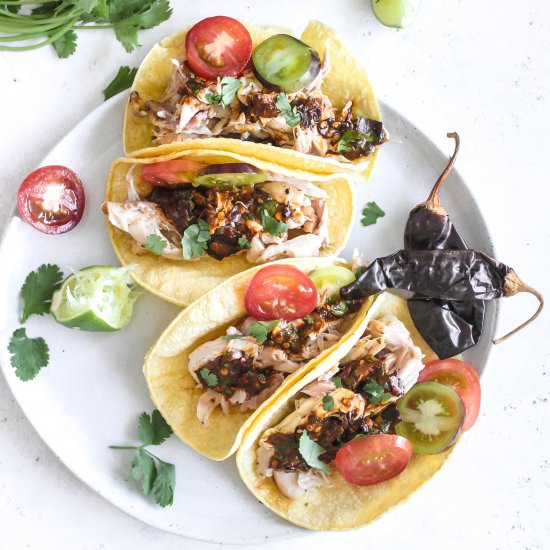 Pulled Chicken Guajillo Pepper Taco