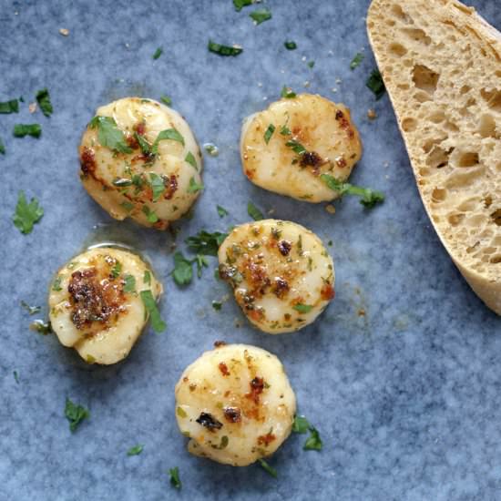 Scallops & garlic and herb butter