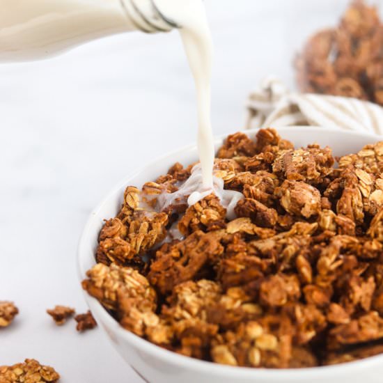 Cinnamon Pretzel Granola