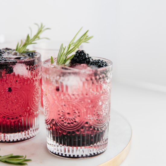Blackberry Lime Gin and Tonic