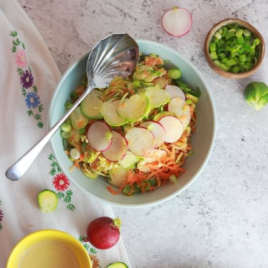 Vegan Disco Slaw
