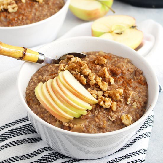 Instant Pot Apple Cinnamon Oats