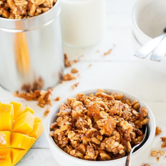 Honey Roasted Paleo Granola