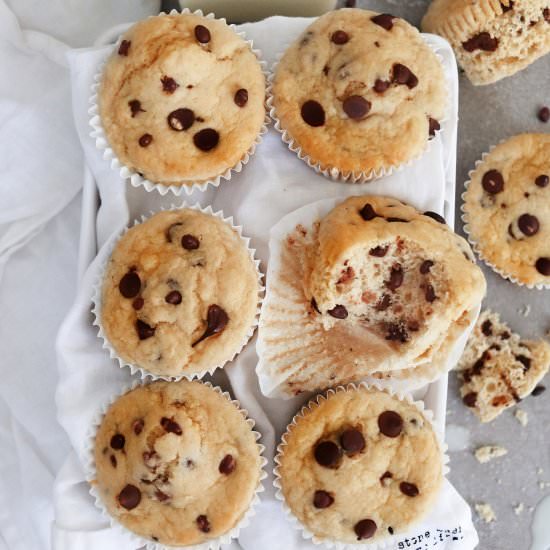Vegan chocolate chip cupcake