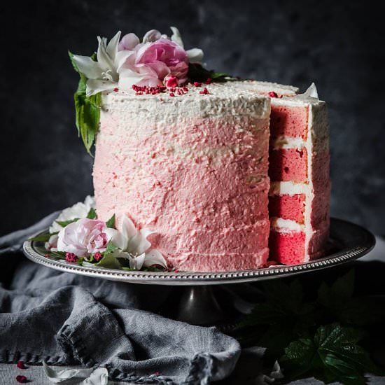 Ombre Berry Celebration Cake