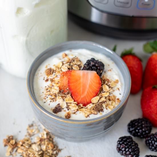 Instant Pot Cold Start Yogurt
